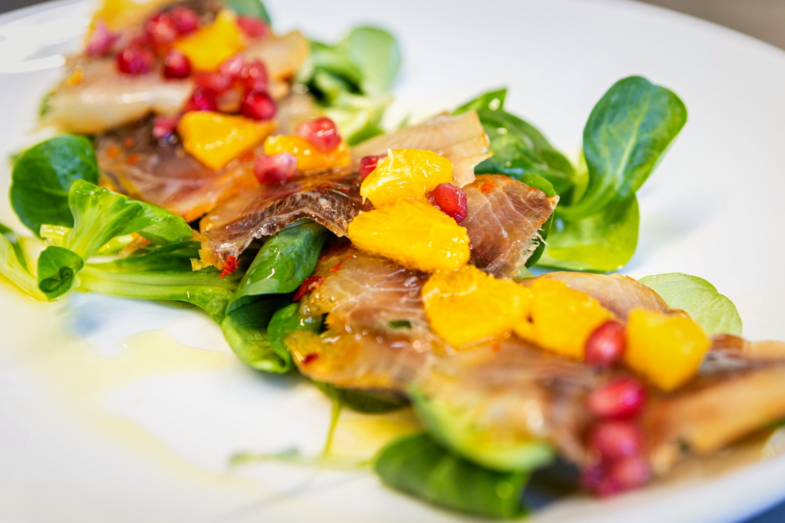 WhatsApp Image 2026-02-18 at 12.41.02