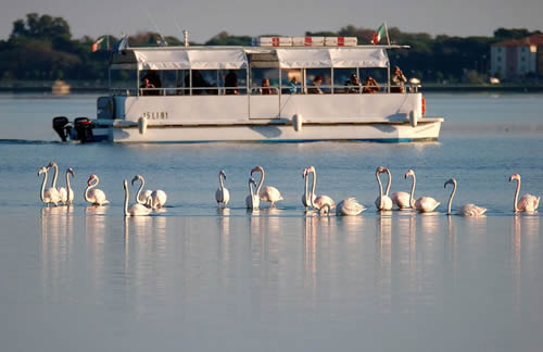 battelloOrbetello